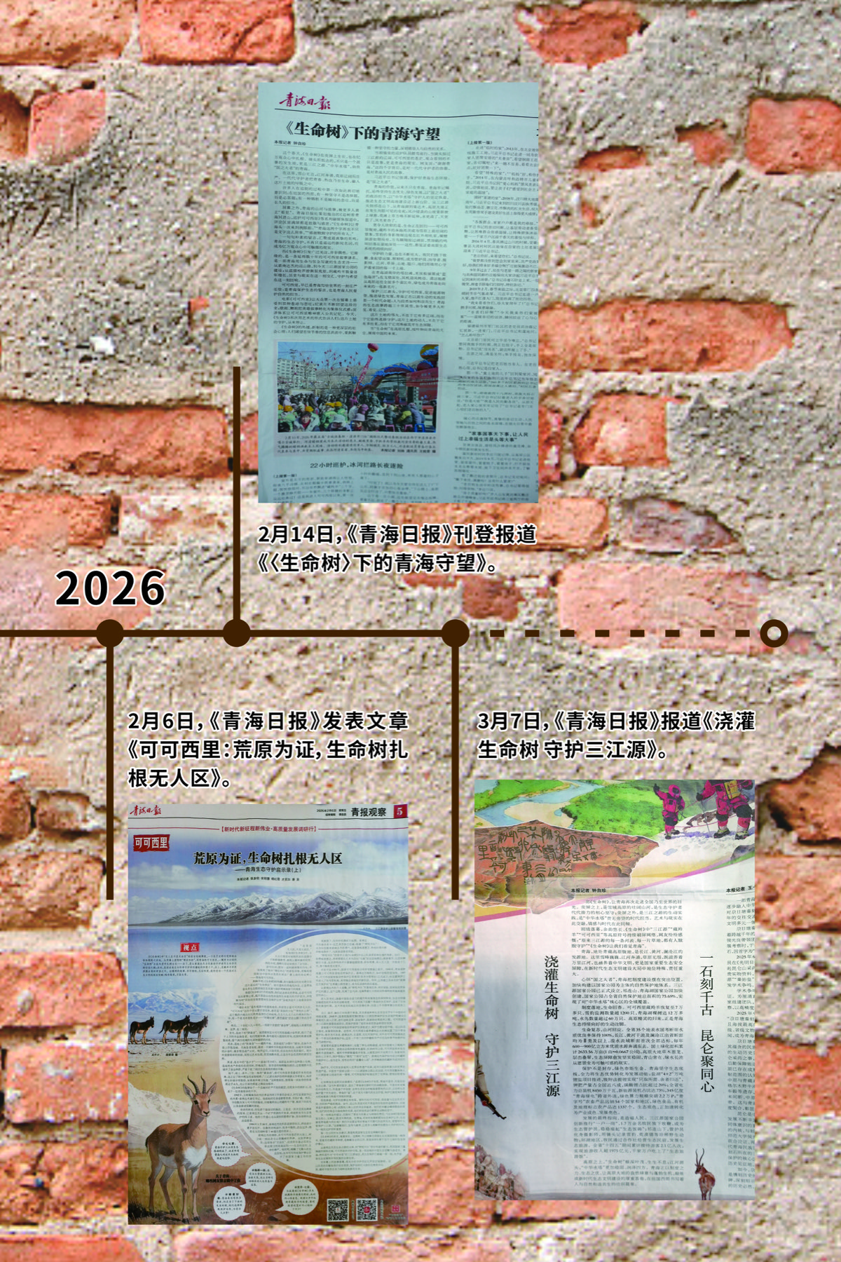 2026年展览时间线